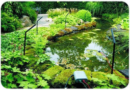 Extension Set Pond Protector