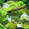 Extension Set Pond Protector