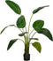 Mica Decorations Kunstboom Strelitzia - 90x80x150 cm - Polyester - Groen