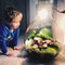 Growing Concepts DIY Duurzaam Ecosysteem Giants Ecolight XL - 20 Liter - Planten - Botanische Mix - H42xØ40cm