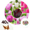 Plant in a Box - Tulipa Pastel Mix - Tulpenbollen x40 - Bloembollen voor Tuin, Terras of Balkon