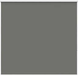 vidaXL - Rolgordijn - verduisterend - 165x130 - cm - stofbreedte - 161,6 - cm - grijs