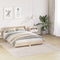vidaXL - Shaggy - Tapijt - met - Latex - Achterkant - Crème - 200x200 - cm