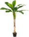 Emerald - Kunstboom Bananenboom 150cm - Kunstplanten voor binnen