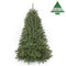 Triumph Tree Forest Frosted Kunstkerstboom - H120 x Ø99 cm - Groen