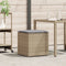 vidaXL - Kussenbox - Beige - 50x50x50 - cm - Poly - Rattan