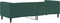 vidaXL - Slaapbank - 80x200 - cm - fluweel - donkergroen
