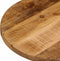 vidaXL - Tafelblad - ovaal - 120x60x3,8 - cm - massief - ruw - mangohout