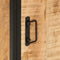 vidaXL - Badkamerkast - 40x27x90 - cm - massief - mangohout - en - ijzer