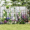 Coast Plantenrek - Klimplantenrek 146 x 186 cm - Zwart PE-gecoat metaal