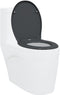 vidaXL - Snelsluit - Toiletbril - met - Soft - Close - Duroplast - in - Anthraciet