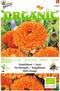 3 stuks - Buzzy - Organic Calendula, Goudsbloem Ball's Orange (BIO)
