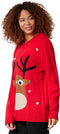 Dressforfun Kersttrui XXL - Vrolijk rendierontwerp - Rood wit bruin