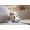 Kauwspeelgoed voor honden Kerbl Wit Grijs Polyester dieren
