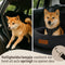 By Cee Cee Fluffy - Autostoel Hond - Veiligheidsriempje - Zwart - Maat M