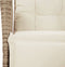 vidaXL - Tuinstoel - verstelbaar - met - voetensteun - poly - rattan - beige