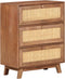 vidaXL - Dressoir - 61x35x76 - cm - massief - mangohout