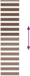 vidaXL - Zebra - rolgordijn - 60x200 - cm - stofbreedte - 55,9 - cm - polyester - bruin