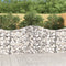 vidaXL - Schanskorven - 8 - st - gewelfd - 200x30x100/120 - cm - ijzer