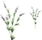 PTMD Twig Plant Lavendel Kunsttak - 38 x 19 x 71 cm - Paars