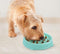 Slo Bowl Fun Feeder Voerbak - M - Oranje - Ø 28 cm