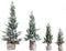 PTMD Quivian Decoratief Kerstmis Ornament - 25x25x75 cm - PE - Groen