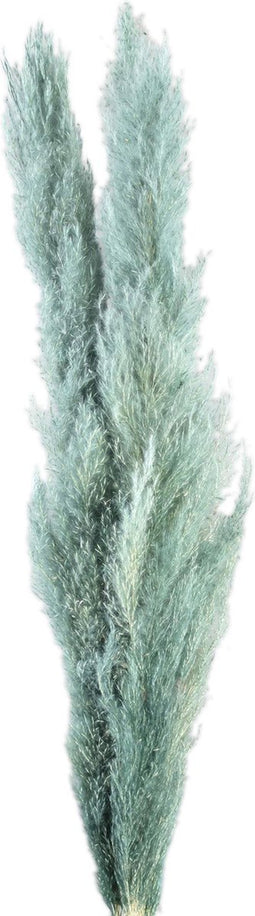 PTMD Dried Twig Pampas Gras - 65x7x110 cm - 3 stuks - Pacific Blauw