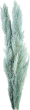 PTMD Dried Twig Pampas Gras - 65x7x110 cm - 3 stuks - Pacific Blauw