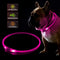 2 stuks led-hondenhalsbanden, USB-oplaadbaar, waterdicht, kan op elke maat worden gesneden, geschikt