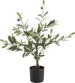 J-Line Olijfboom In Pot - kunststof - groen - small