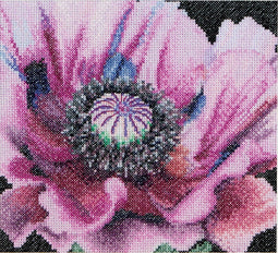 Thea Gouverneur - Borduurpakket met telpatroon - 491A - Voorgesorteerde DMC Garens - Papaver - Aida - 15 cm x 14 cm - DIY Kit