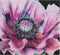 Thea Gouverneur - Borduurpakket met telpatroon - 491A - Voorgesorteerde DMC Garens - Papaver - Aida - 15 cm x 14 cm - DIY Kit