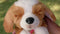 Little Live Pets - My Really Real Puppy Patches - Interactieve puppy knuffel met hok