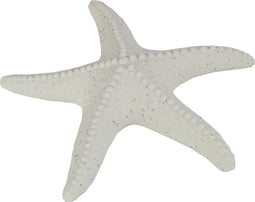 J-Line decoratie Zeester Zand Glazuur - porselein - wit