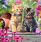 Crystal Card kit diamond painting Cat Friends 18 x 18 cm