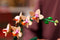 LEGO Botanicals - Mini orchidee - 5 bloesems - Terracotta