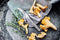 Global GSF34 Tourneermes - 5 cm - Verzwaard heft