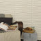 WallArt - Wandpanelen - 24 - st - 3D - GA-WA14 - Flows