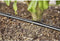 GARDENA 13504-20 - Druppelbuis 13 mm - 50 m met geïntegreerde druppelaars 1,6 l/u