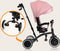 Lionelo Tris Plus - Driewieler 2-in-1 - Geschikt van 9 maanden tot 5 jaar - Pink Rose