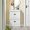 SoBuy FSR78-WG - Schoenenkast - 2 klapdeuren - Wit