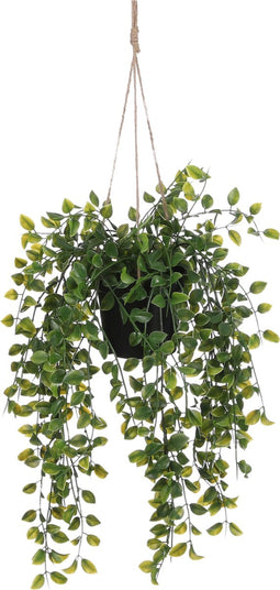 Mica Decorations Ficus - Kunst Hangplant in Pot - H46 x Ø20 cm - Groen