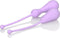 CalExotics - Weighted Kegel Exercisers Set - Balls Paars