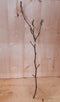 Kerstgroen Magnolia Beverbomen Tulpenboom tak