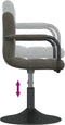 vidaXL - Eetkamerstoelen - draaibaar - 2 - st - fluweel - donkergrijs