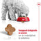 Royal Canin Mini Adult 8+ - Hondenvoer - 800 g
