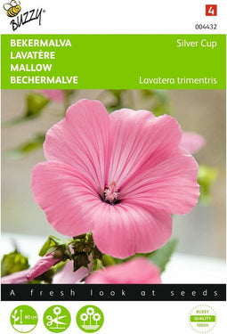 2 stuks Lavatera, Bekermalva Silver Cup