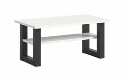 Furnilux Seattle - Salontafel - Praktische indeling - Wit Grijs - 50x90x42cm
