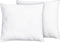 DIRAN - Kussen set van 2 - Wit - 80 x 80 cm - Katoen