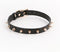 Medusa Collar